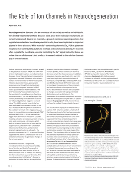 The Role of Ion Channels in Neurodegeneration