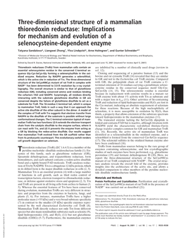 Three-Dimensional Structure of a Mammalian Thioredoxin Reductase: Implications for Mechanism and Evolution of a Selenocysteine-Dependent Enzyme