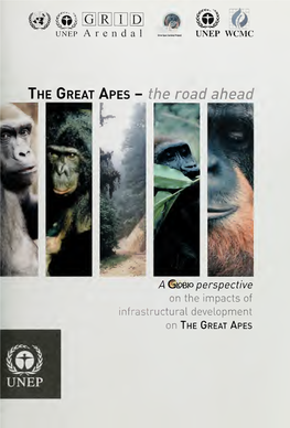 The Great Apes – the Road Ahead. a GLOBIO Perspective on the Impacts