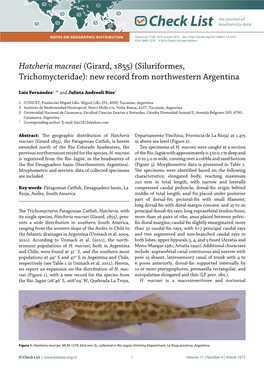 Hatcheria Macraei (Girard, 1855) (Siluriformes, Trichomycteridae): New Record from Northwestern Argentina
