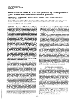 Trans-Activation of the JC Virus Late Promoter by the Tat Protein