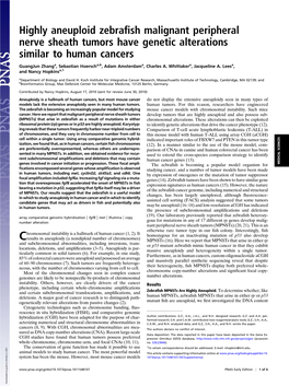 Highly Aneuploid Zebrafish Malignant Peripheral Nerve Sheath Tumors