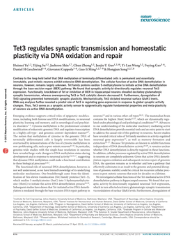 Tet3 Regulates Synaptic Transmission and Homeostatic Plasticity Via DNA Oxidation and Repair