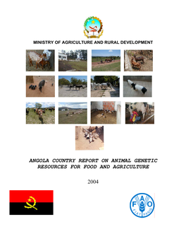 Angola Country Report on Animal Genetic Resources for Food and Agriculture