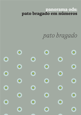 Pato Bragado 1 Panorama Ods: Pato Bragado Em Números