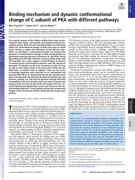 Binding Mechanism and Dynamic Conformational Change of C Subunit