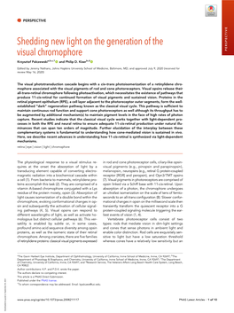 Shedding New Light on the Generation of the Visual Chromophore PERSPECTIVE Krzysztof Palczewskia,B,C,1 and Philip D