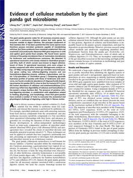 Evidence of Cellulose Metabolism by the Giant Panda Gut Microbiome