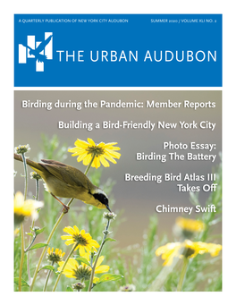 The Urban Audubon