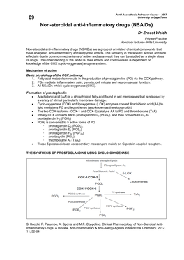 09 Non-Steroidal Anti-Inflammatory Drugs (Nsaids)