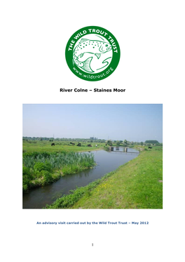 River Colne – Staines Moor