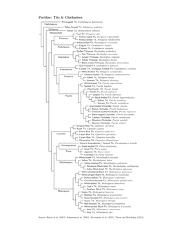 Paridae Species Tree