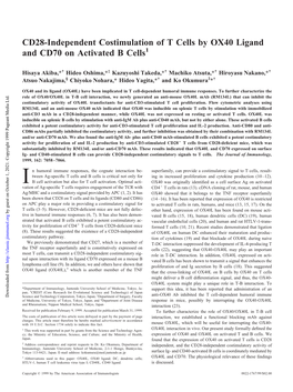 Cells by OX40 Ligand and CD70 on Activated B CD28-Independent