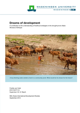 Dreams of Development a Contribution to the Understanding of Livelihood Strategies in the Drought-Prone Alaba Woreda of Ethiopia