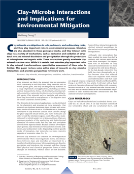 Clay–Microbe Interactions and Implications for Environmental Mitigation