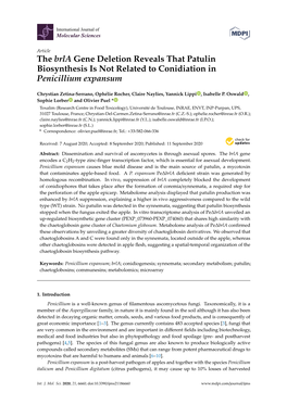 The Brla Gene Deletion Reveals That Patulin Biosynthesis Is Not Related to Conidiation in Penicillium Expansum