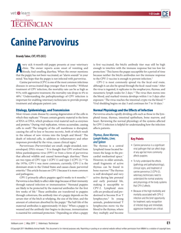 Canine Parvovirus