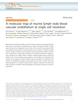 A Molecular Map of Murine Lymph Node Blood Vascular Endothelium at Single Cell Resolution