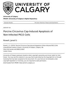 Porcine Circovirus Cap-Induced Apoptosis of Non-Infected PK15 Cells