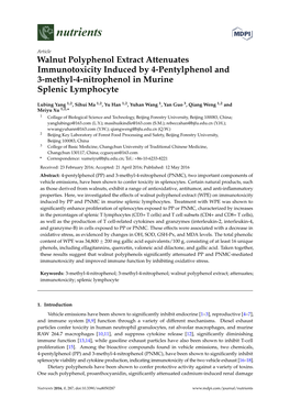 Walnut Polyphenol Extract Attenuates Immunotoxicity Induced by 4-Pentylphenol and 3-Methyl-4-Nitrophenol in Murine Splenic Lymphocyte