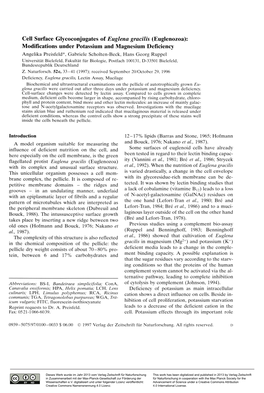 Cell Surface Glycoconjugates of Euglena Gracilis (Euglenozoa