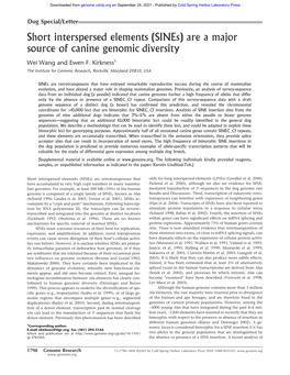 (Sines) Are a Major Source of Canine Genomic Diversity