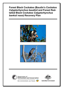 Forest Black Cockatoo (Baudin’S Cockatoo Calyptorhynchus Baudinii and Forest Red- Tailed Black Cockatoo Calyptorhynchus Banksii Naso) Recovery Plan