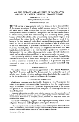 On the Biology and Genetics of Scaptomyza Graminum Fallen (Diptera, Drosophilidae) Harrison D