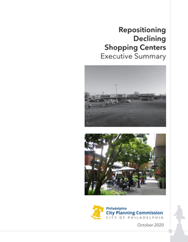 Repositioning Declining Shopping Centers Executive Summary