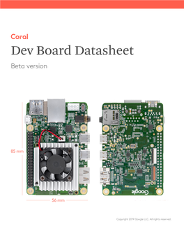 Dev Board Datasheet Beta Version