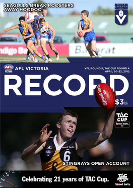 Seagulls Break Roosters Away Hoodoo Seagulls Break Roosters Away Hoodoo Afl Victoria Stingrays Open Account