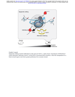 Set2-Mediated Alternative Splicing of Srsf11 Regulates Cocaine Reward Behavior