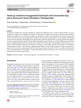 Heads Up: Evolution of Exaggerated Head Length in the Minute Litter Bug Genus Nannocoris Reuter (Hemiptera: Schizopteridae)