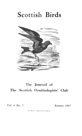 Scottish Birds