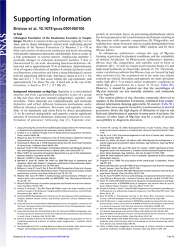 Mineralogical Constraints on the Paleoenvironments of The