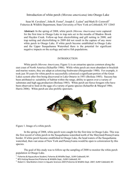 Introduction of White Perch (Morone Americana) Into Otsego Lake