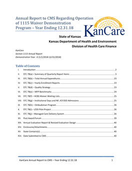 Annual Report to CMS Regarding Operation of 1115 Waiver Demonstration Program – Year Ending 12.31.18