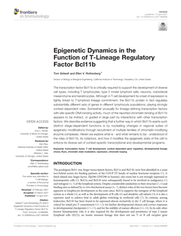 Epigenetic Dynamics in the Function of T-Lineage Regulatory Factor Bcl11b