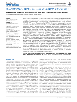 The Arabidopsis NIMIN Proteins Affect NPR1 Differentially