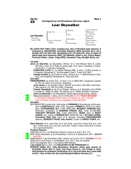 32 Consigned by Litz Bloodstock Services, Agent Lear Skywalker