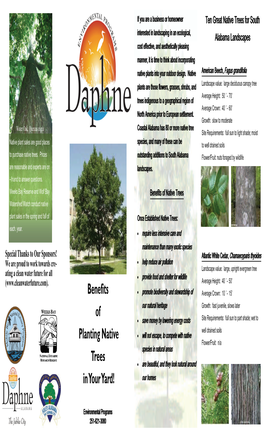 Appendix J-Brochure Benefits to Planting Native Trees