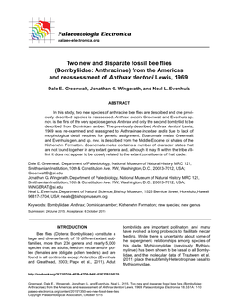 Bombyliidae: Anthracinae) from the Americas and Reassessment of Anthrax Dentoni Lewis, 1969