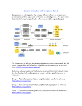 Genome Annotation with Companion (Part 1)