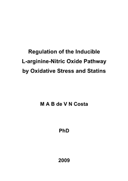 Effects of Oxidative Stress on the Expression and Function of L