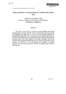 Open Problems in Reprocessing of a Molten Salt Reactor Fuel