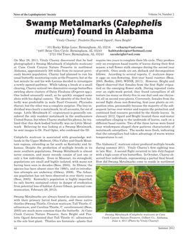 "Swamp Metalmarks (Calephelis Muticum) Found in Alabama." News Of