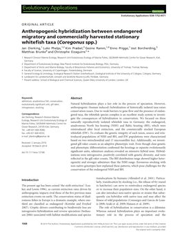 Anthropogenic Hybridization Between Endangered