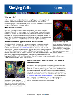 Studing Cells