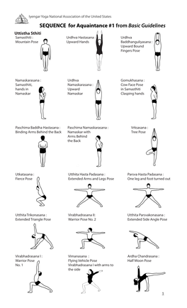 SEQUENCE for Aquaintance #1 from Basic Guidelines