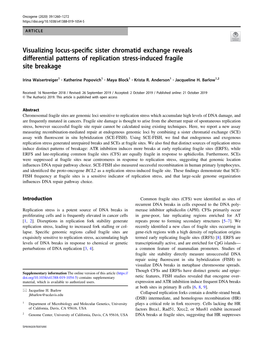 Visualizing Locus-Speciic Sister Chromatid Exchange Reveals Differential Patterns of Replication Stress-Induced Fragile Site Breakage